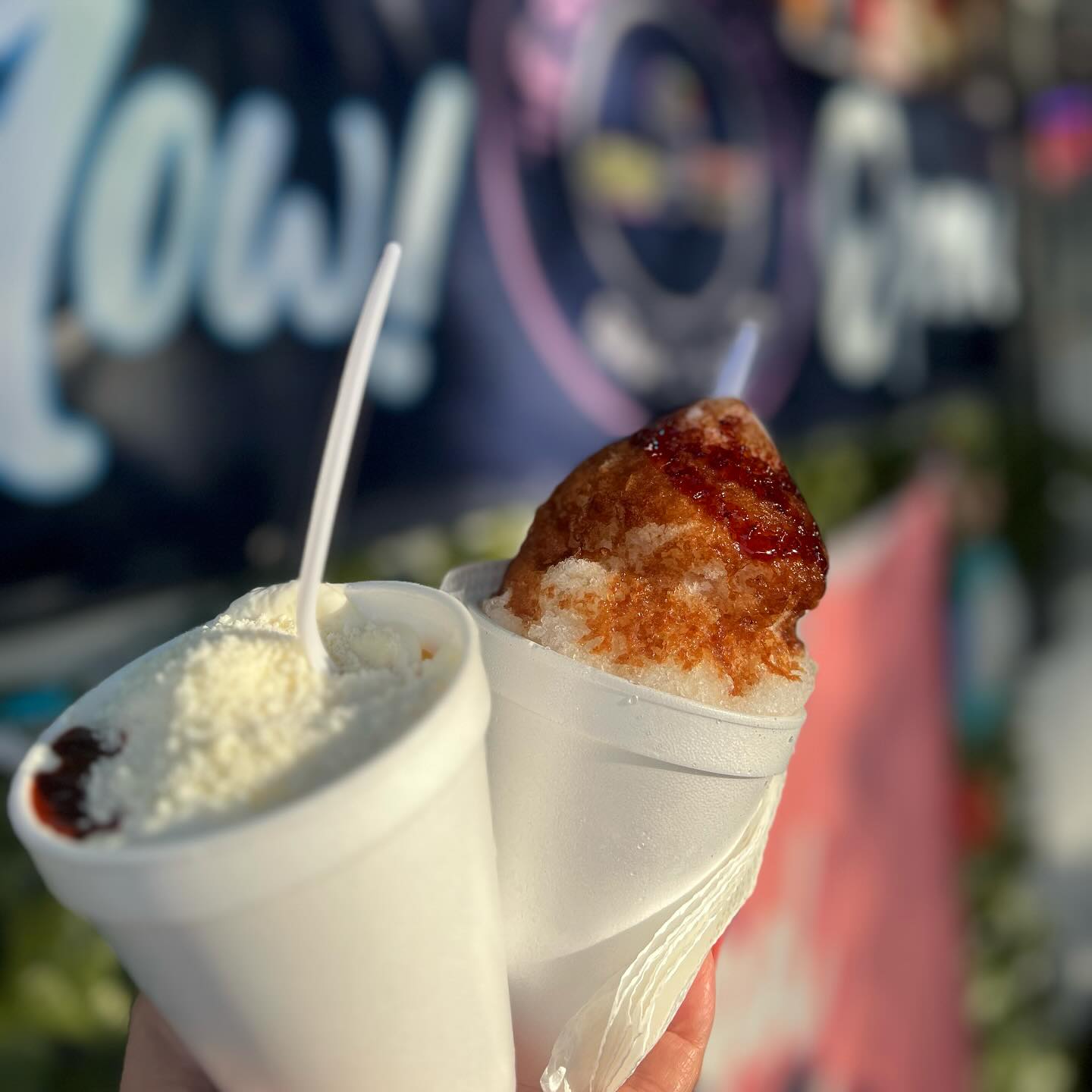 Snow Cone Lady Snack Shack