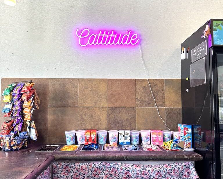 Lone Star Pawz CATfé