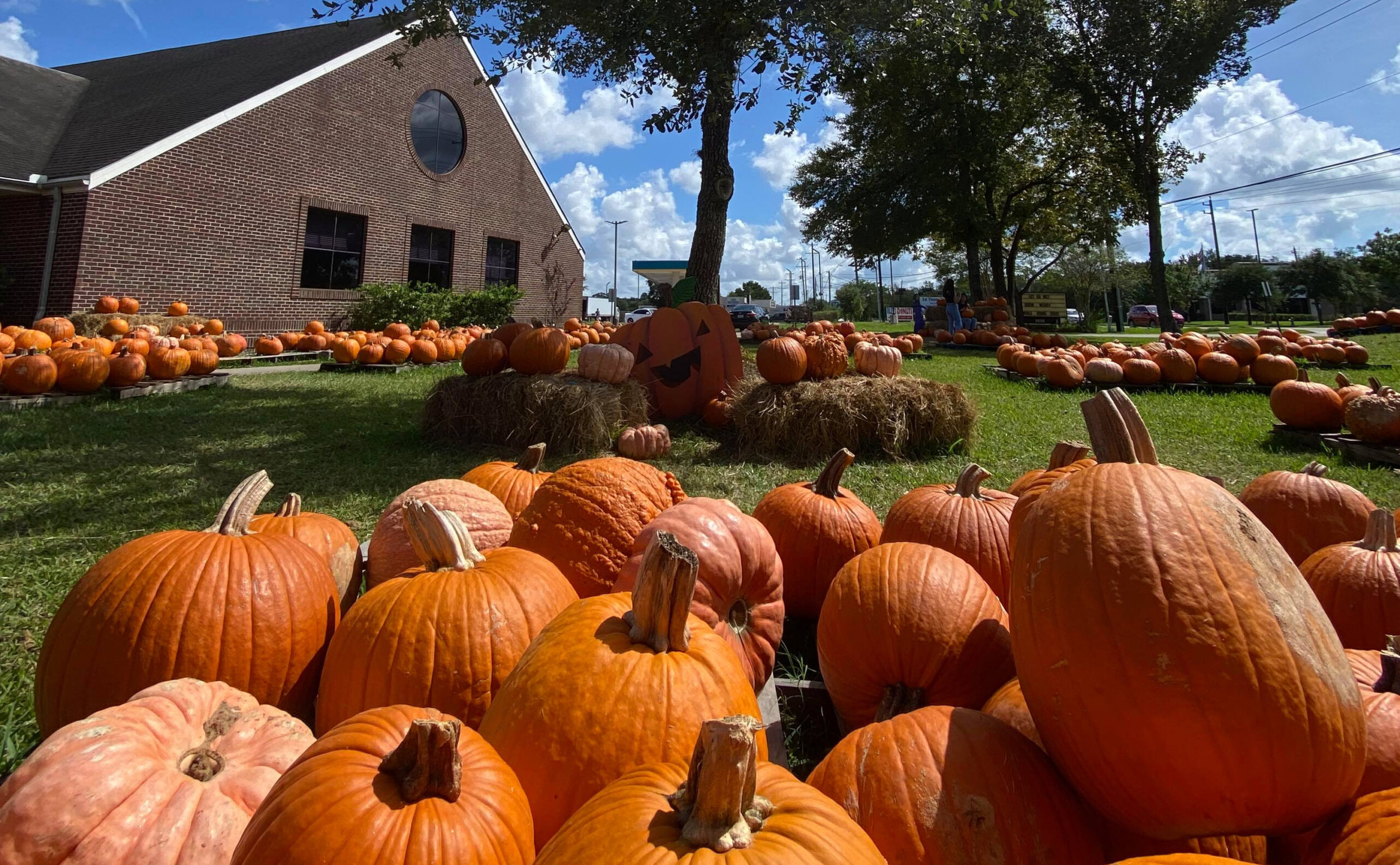 The Best Pearland Fall Festivals and Family Fun