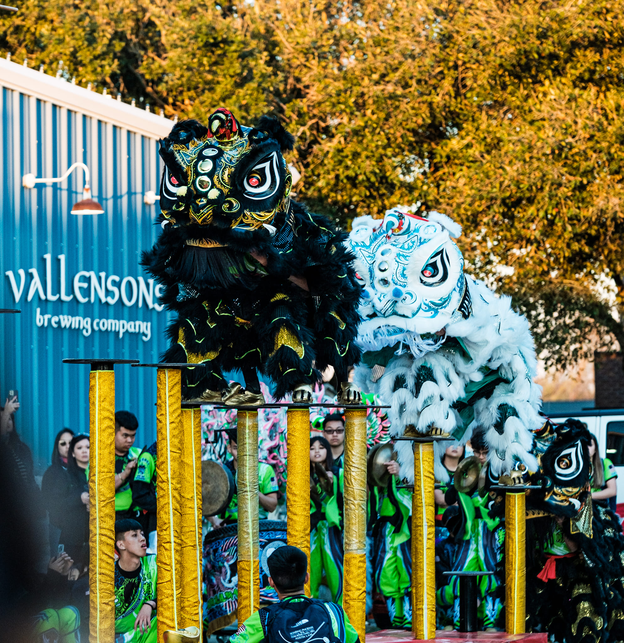 Lunar New Year in Pearland