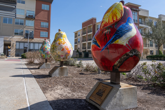 guide-pearscape-trail