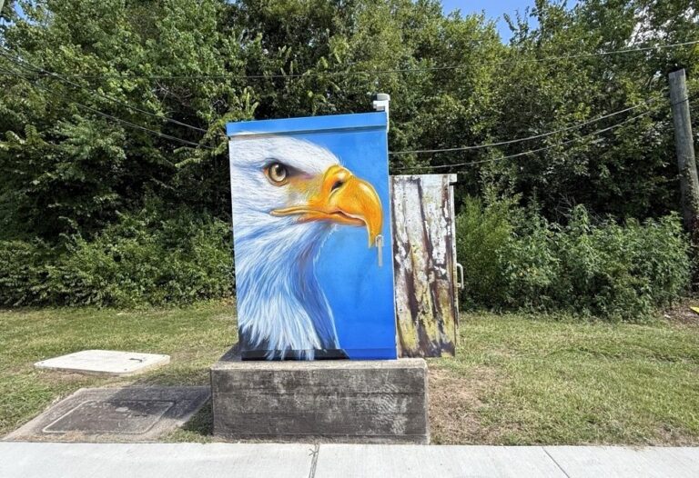 Visit Pearland Public Artwork Collection Mini Masterpieces Traffic Signal Cabinet by artist Anat Ronen