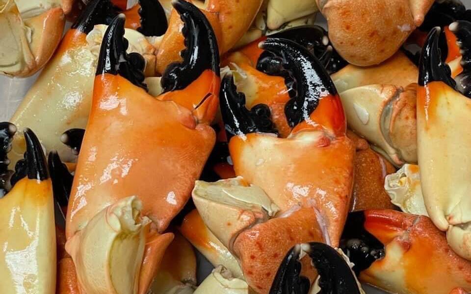 All Season Seafood