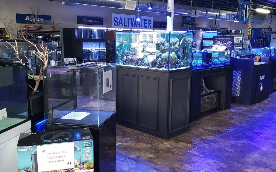 The Fish Bowl & More